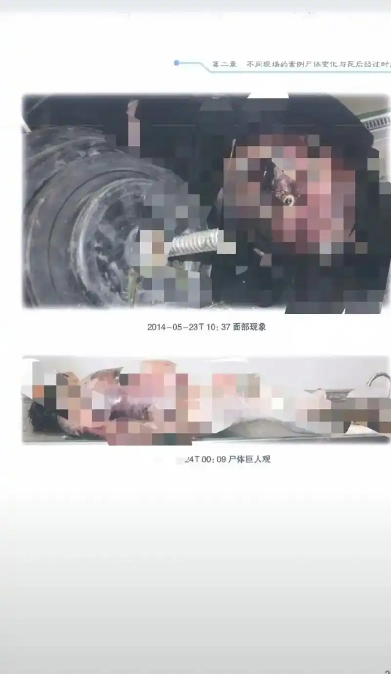 向所有相关工作人员致敬看完由衷敬佩法医胆小勿入