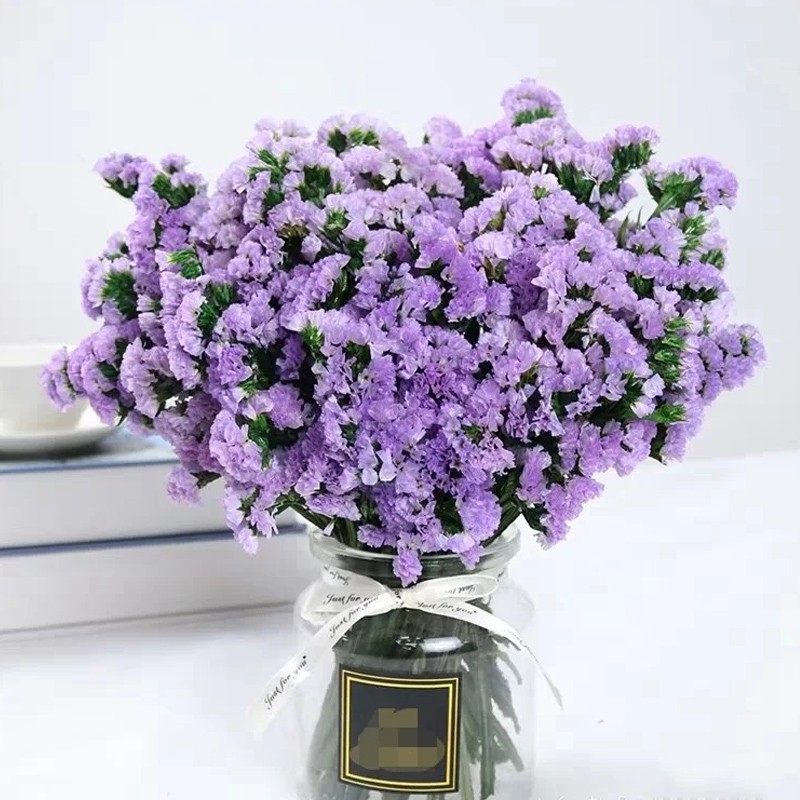 悦多彩 鲜花速递 情人节生日礼物 勿忘我 情人草家用办公室水养鲜花